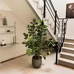 Boutique * Weesp